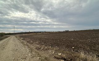 Teren extravilan de vânzare – în apropierea autostrăzii A1, km 80 - Poză 3