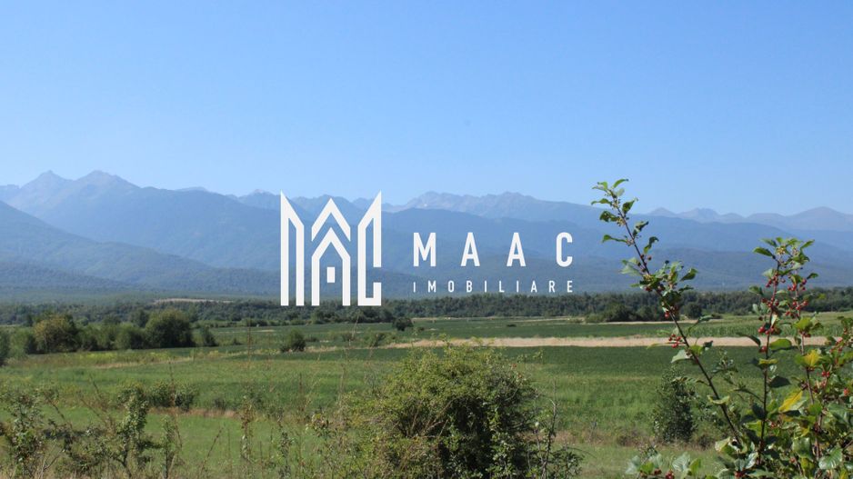 TEREN 4500 MP I PARC FOTOVOLTAIC I ARPASUL DE SUS - Poză 3