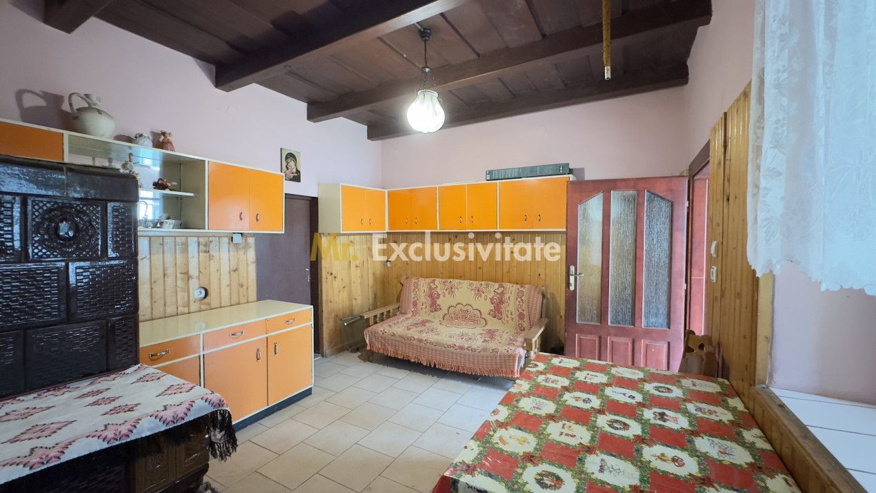 Casă 3 camere, Teren 3.263 mp, Str.Mărășești Nr.16 -Carei-Comision 0% cumpărător - Poză 11