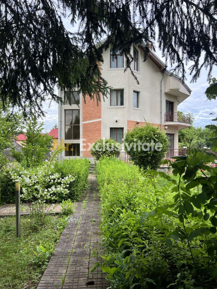 Acasă la Bascov- Județ Arges cu peisaj de poveste - Poză 11