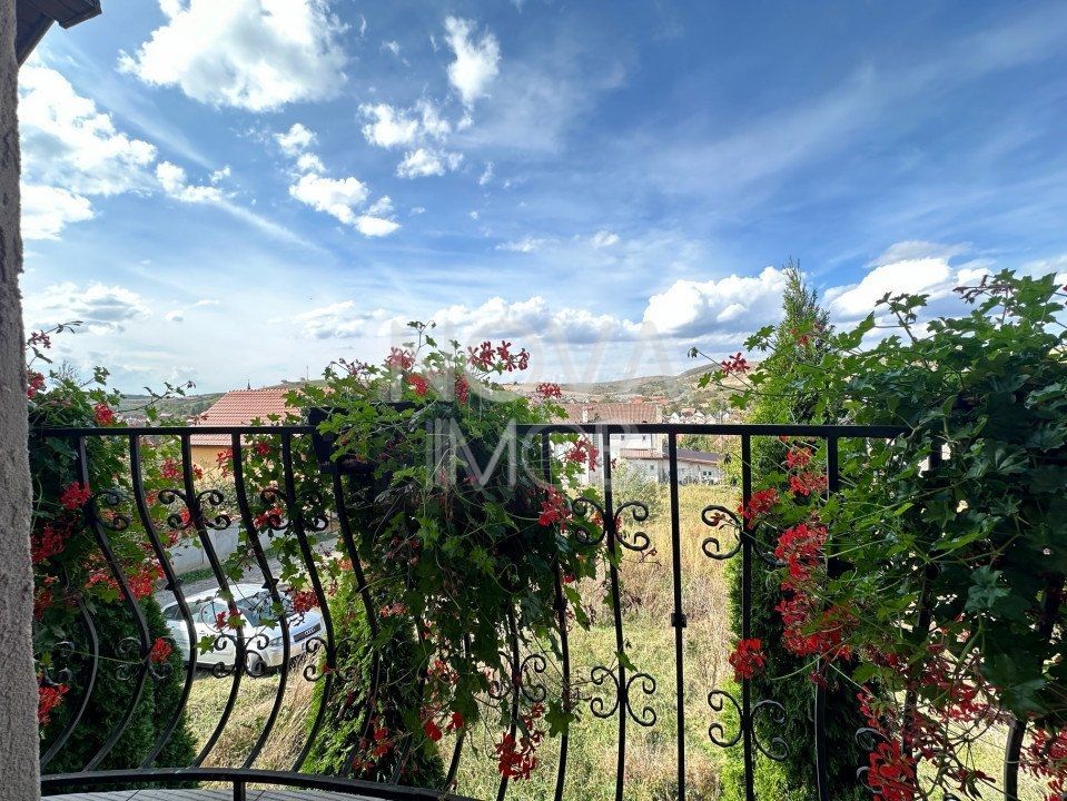 Casa individuala de vanzare - Sura Mare - Poză 9