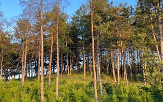 Vânzare casă, 4 camere,  str. Dragomirna, sectorul Buiucani. - Poză 4