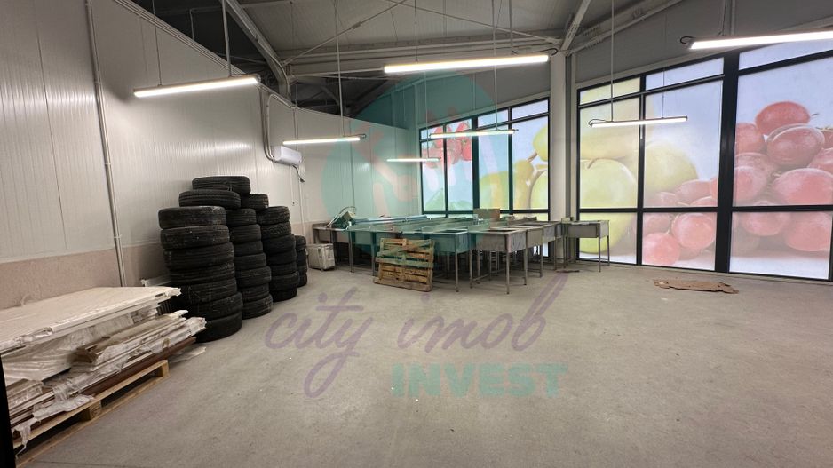 Spatii comerciale de inchiriat in PIATA DELFINULUI - Poză 11