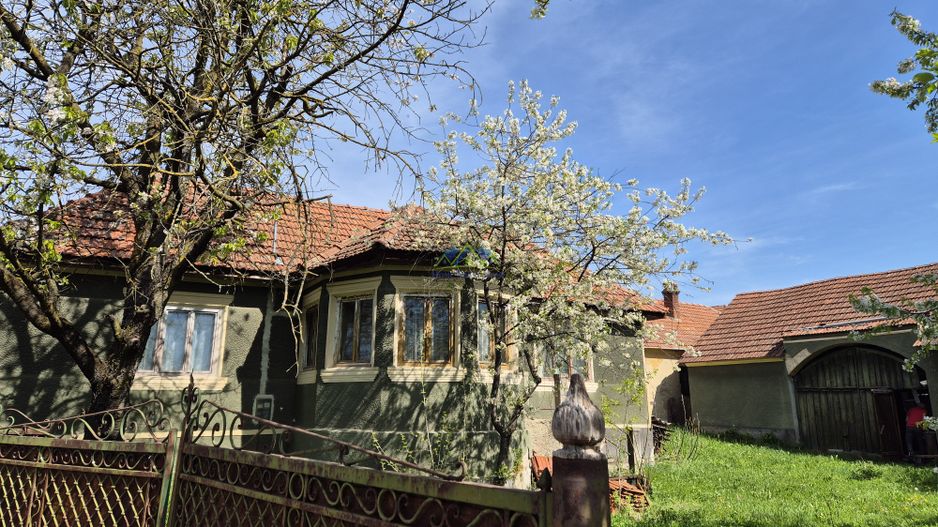 Vand casa 2 camere, 90mp, Silvasul de Jos, teren 1295, deschidere 62m - Poză 2