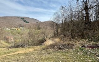 Teren intravialn | 6476 mp | Ulmoasa | zonă superbă - Poză 2