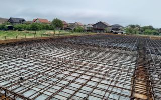 Individuala Parter Becicherecu Mic, Zona Semicentrala,4 Camere,Teren 800 mp - Poză 23