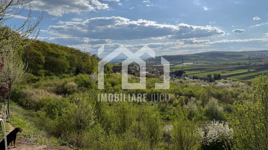 Teren intravilan – 1.450 mp | Jucu de Sus, marginea pădurii - Poză 5