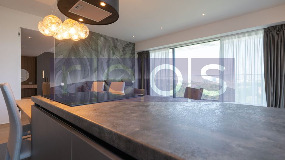 INCHIRIERE 3 CAMERE | ONE ELIADE | MOBILAT SI UTILAT LUX | VEDERE LAC - Poză 7