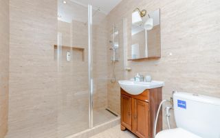 Inchiriere Apartament 3 Camere Baneasa Straulesti OMV PETROM CITY - Poză 7