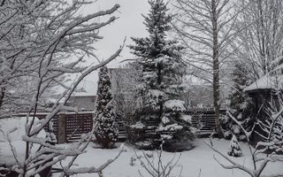 BREBU/PRAHOVA(cod04)-Casa P+1 zona mirifica - Poză 14