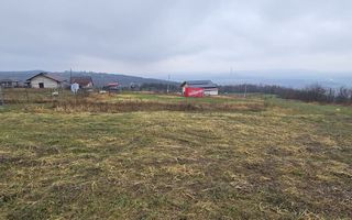 Teren intravilan 656 mp + acces, lângă pădure – Chicerea - Tomești - Poză 6