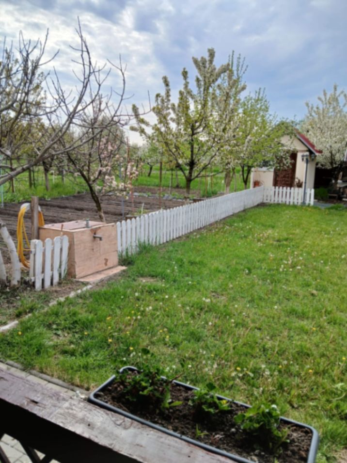 Casa Individuala Becicherecu Mic,P+E,5 Camere,2 Bai,Garaj,Partial Mobilata - Poză 8