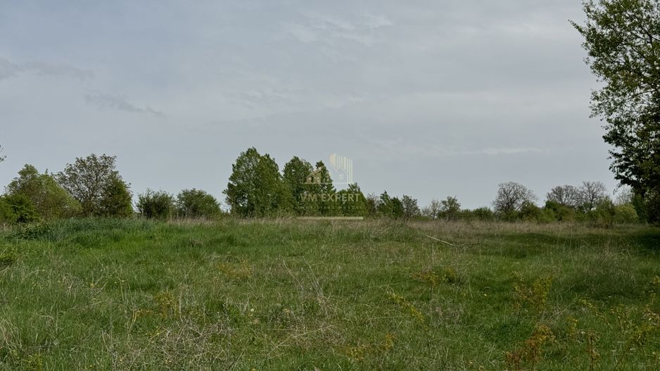 TEREN INTRAVILAN, 7472 MP, VALEA MARE PRAVAT, ARGES - Poză 3