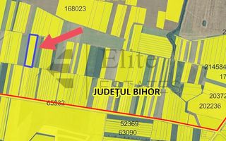 Teren 20.141 mp de vanzare in zona Aeroportului Oradea - Poză 4
