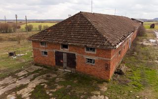 Fermă cu teren intravilan de 35000 mp în Mișca - Poză 21