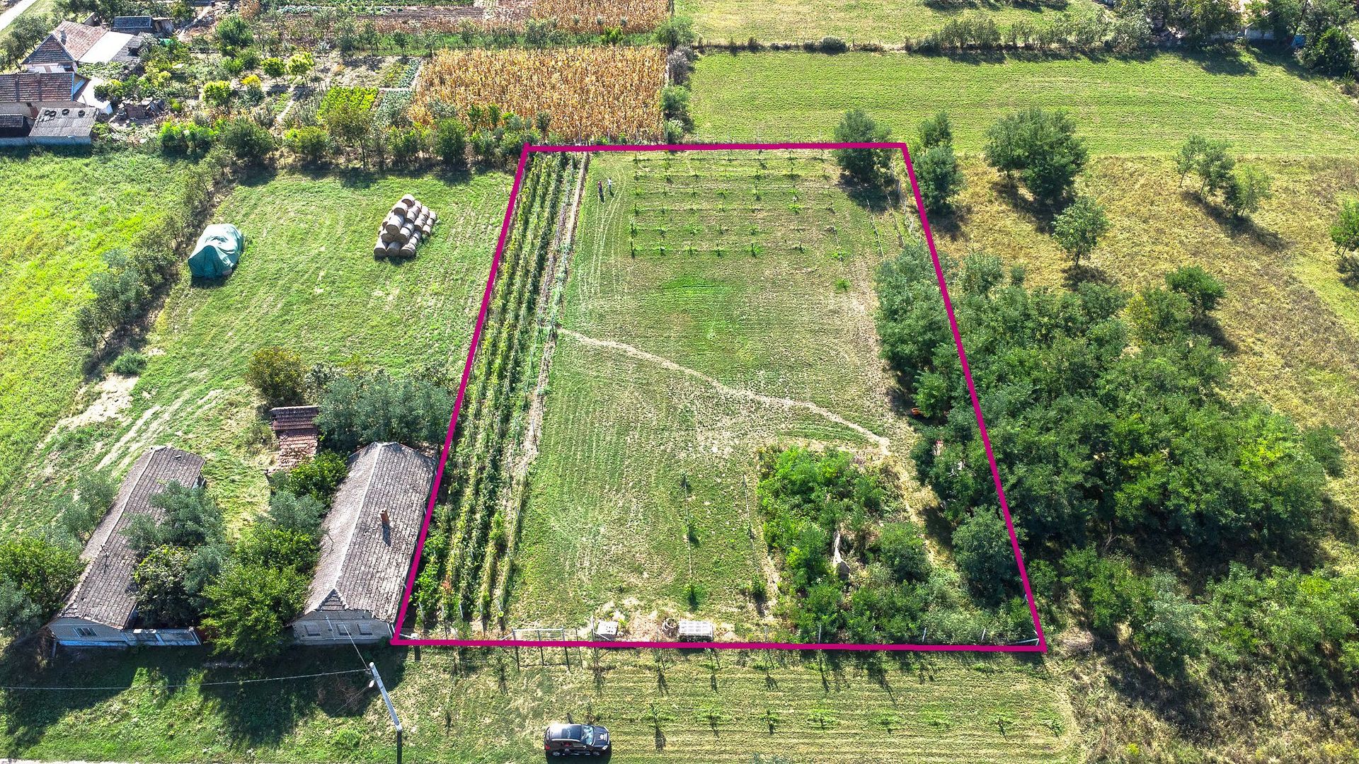 Pret redus Teren generos, intravilan in Șimand - Poză 2