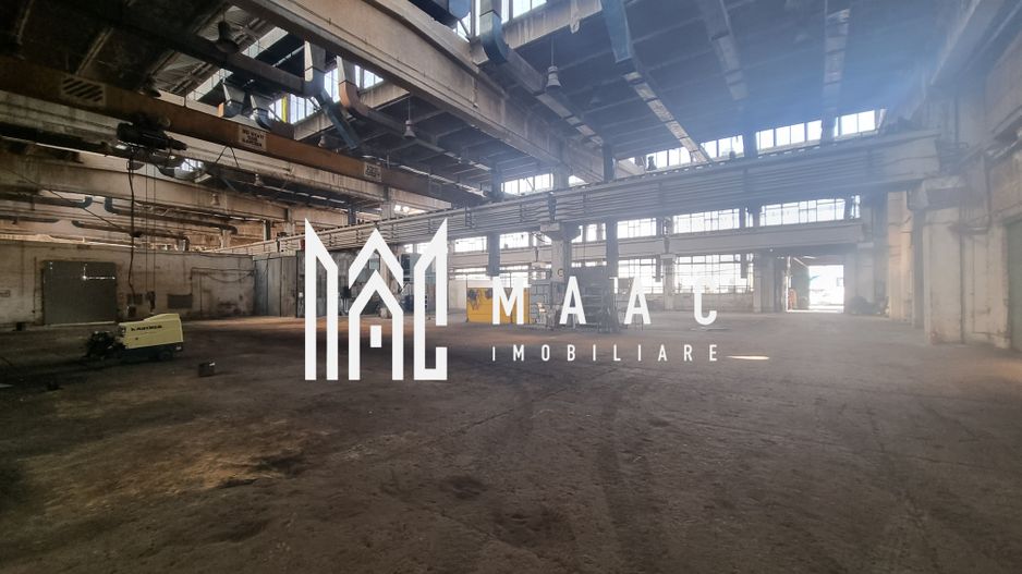 Hala Industriala | 1200MPU | Lazaret - Poză 4