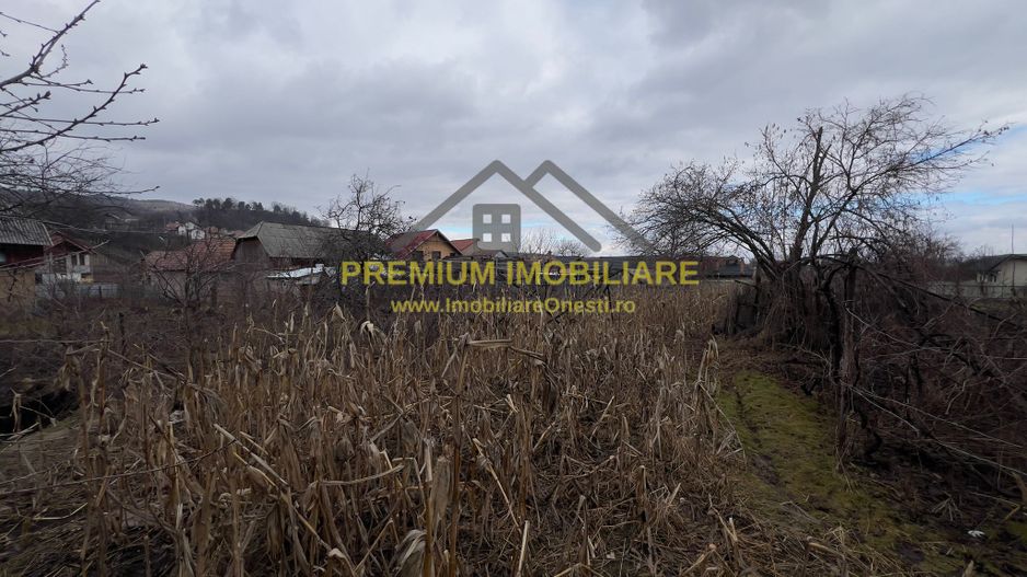 Teren intravilan de vânzare – zonă centrală, Oituz - Poză 1