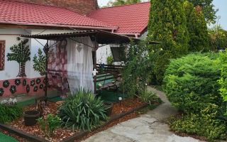Oportunitate Unică | Două Case + Teren 902 mp | Calea Bogdăneștilor - Poză 5