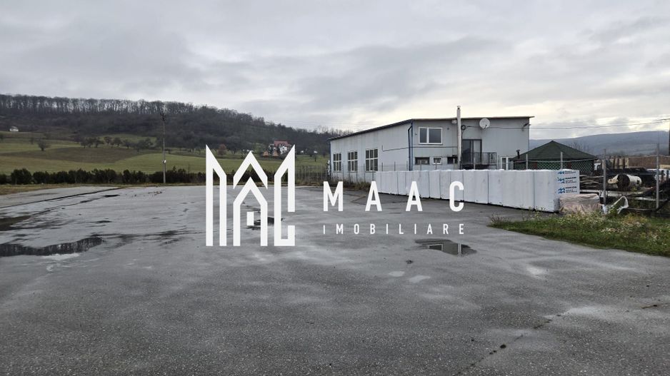 Imobil industrial I 448 mp I Teren 12.000 mp I Bradu I De Inchiriat - Poză 6