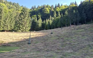 Teren intravilan la munte - Poză 8