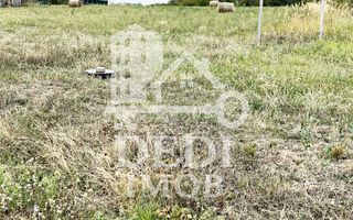 Teren 500 mp de vanzare in Paleu, Bihor - Poză 2