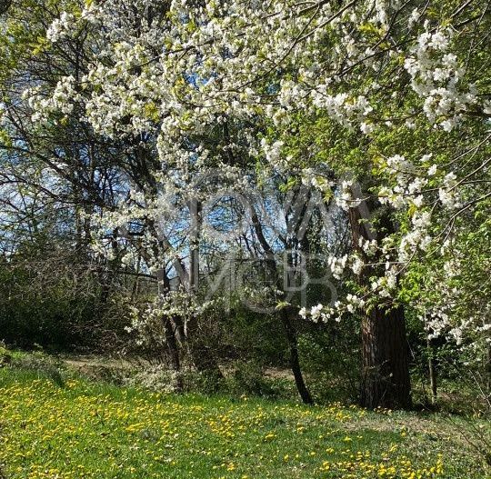 Casa individuala  - vedere spre padure - Parcul Sub Arini - Poză 39