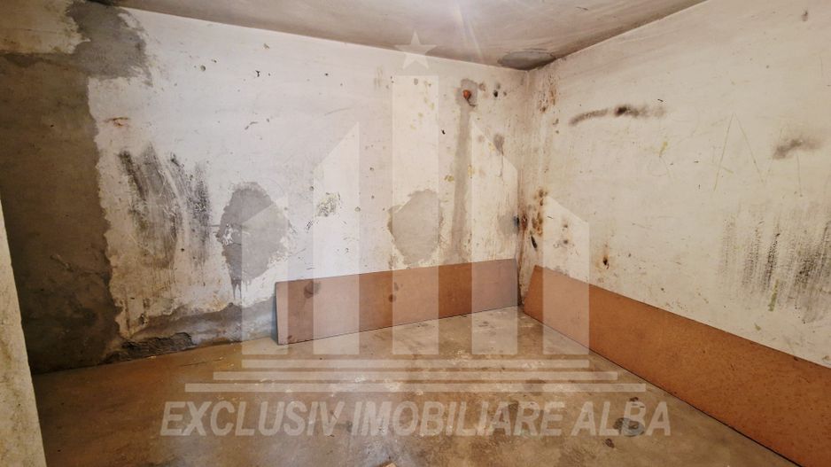 Boxa cu 2 camere in Cetate - Poză 3