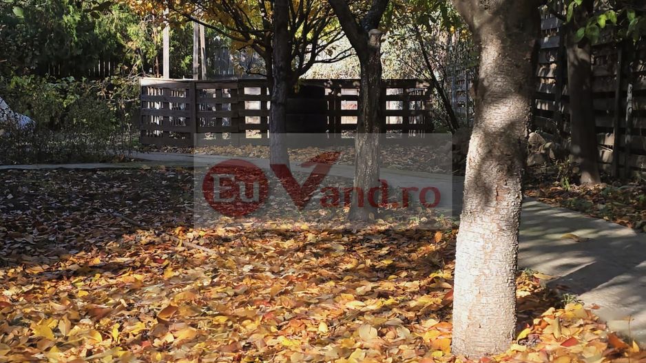 Exclusivitate! Proprietate in Sendreni, jud. Galati -  65.000 EUR - Poză 20