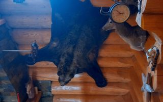 Cabana tip Chalet cu 4 dormitoare Cheia Valea Stanii - Poză 25