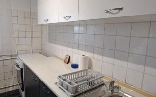Închiriere Apartament Superb Dristor Aurel Botea Baba novac - Poză 9