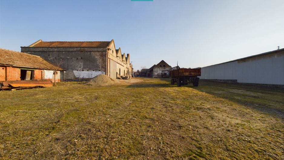 Teren și hale pe Calea Aradului din Periam - Poză 8