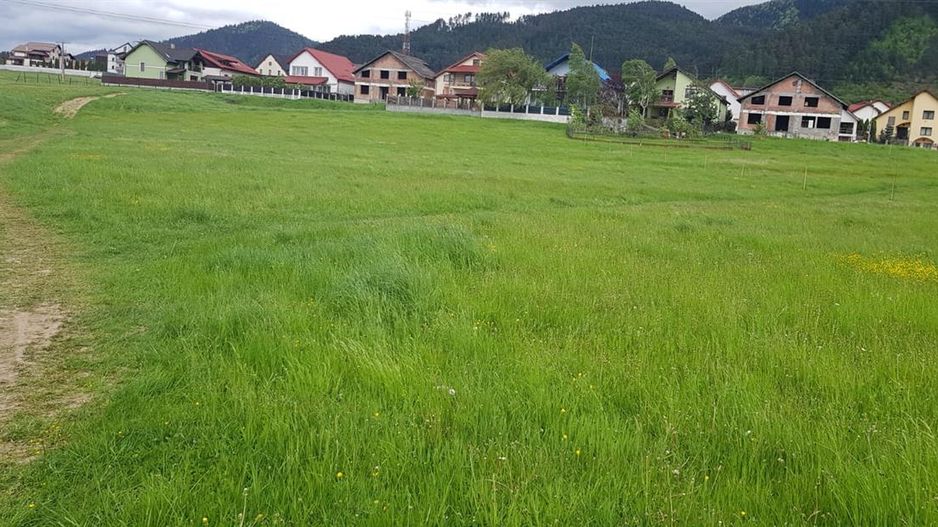 In evantaiul padurii, 750mp teren - Poză 6