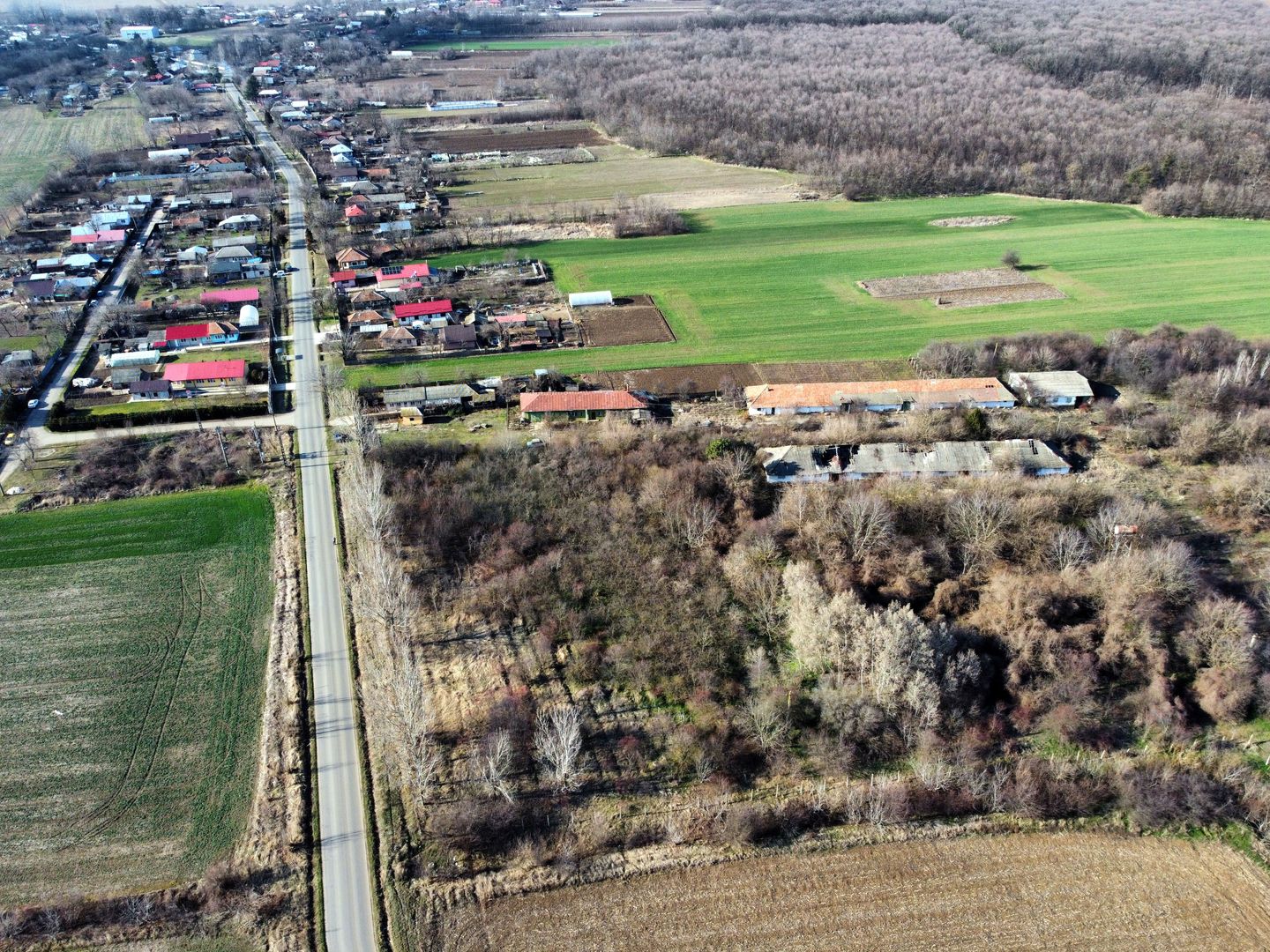 Ferma si livada de meri in judetul Ilfov - Poză 2