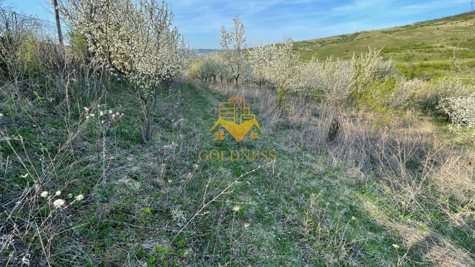 Tren Soporului Intravilan ,5500 MP Utilitati,  Oportunitate - Poză 8