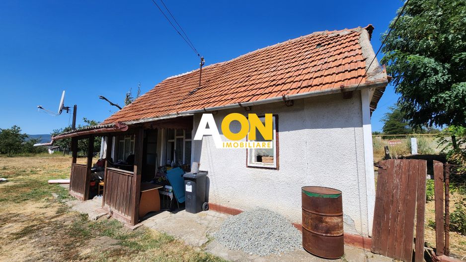 De vanzare teren 10.651mp intravilan, parcelabil, Oarda de Sus - Poză 2