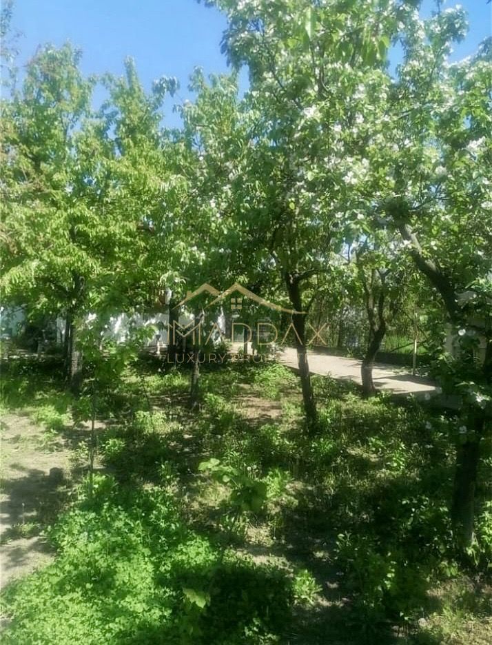 Vila 9 camere***gradina cu pomi fructiferi//1085 mp teren***Dragomiresti-Deal - Poză 17