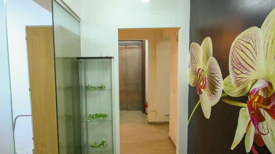 Vila 8 Camere Piata Dorobanti - Poză 17