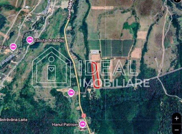 Teren extravilan 6.500 mp – Cârțișoara | Comision 0% - Poză 7