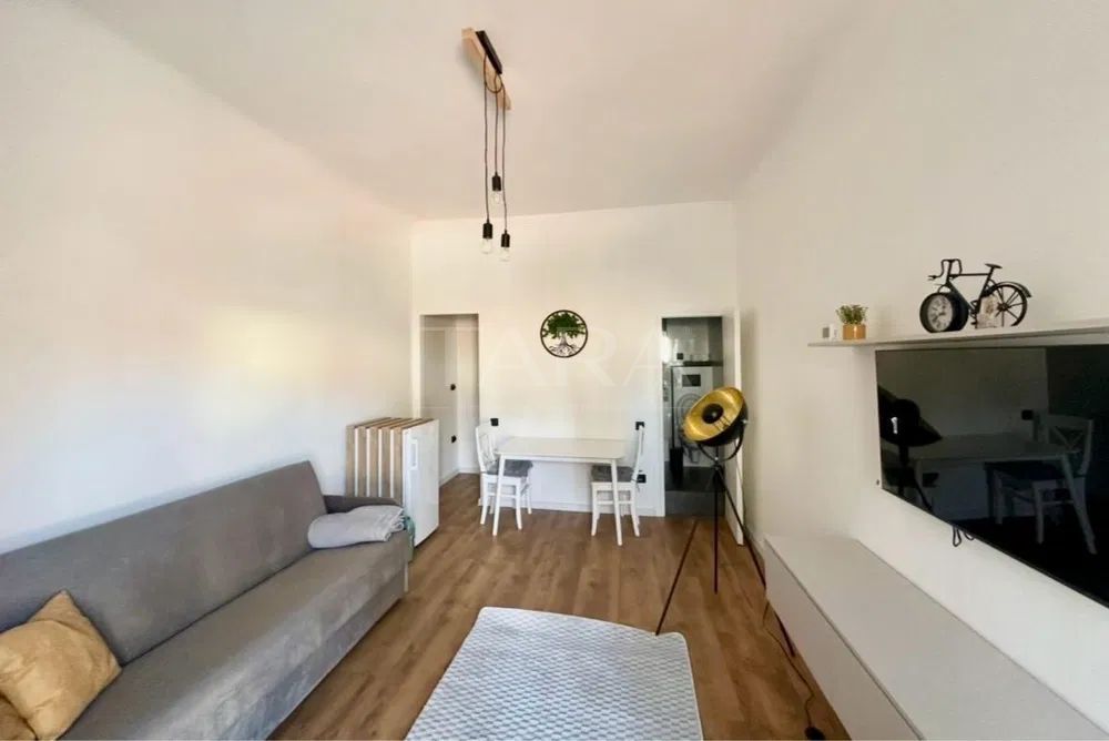 Apartament 1 camera ultracentral– renovat, într-o curte privată. - Poză 3