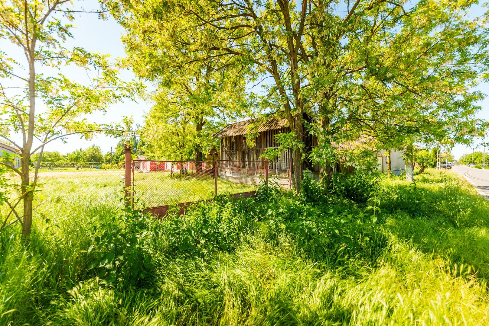 Casă cu potențial în Iratoș - Poză 15