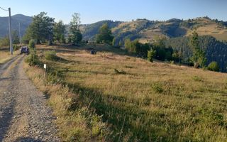 Teren Intravilan | 3.000 mp | Gârda de Sus | Alba | - Poză 4