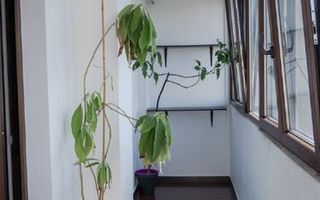 Apartament decomandat cu 4 camere de vânzare, zona BIG, Mănăștur. - Poză 12