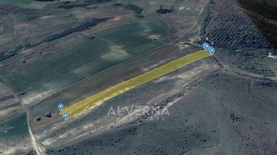 COMISION 0% - Teren extravilan 11.600mp - cadastrat - Gadalin / Jucu - Poză 1