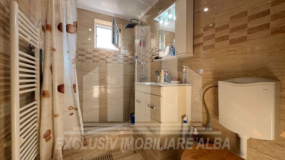 Apartament cu 2 camere de vanzare, Cetate - Poză 6