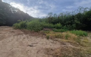 AZURA Imobiliare - Vanzare teren Hintesti, langa padure, 300m din DN - Poză 15