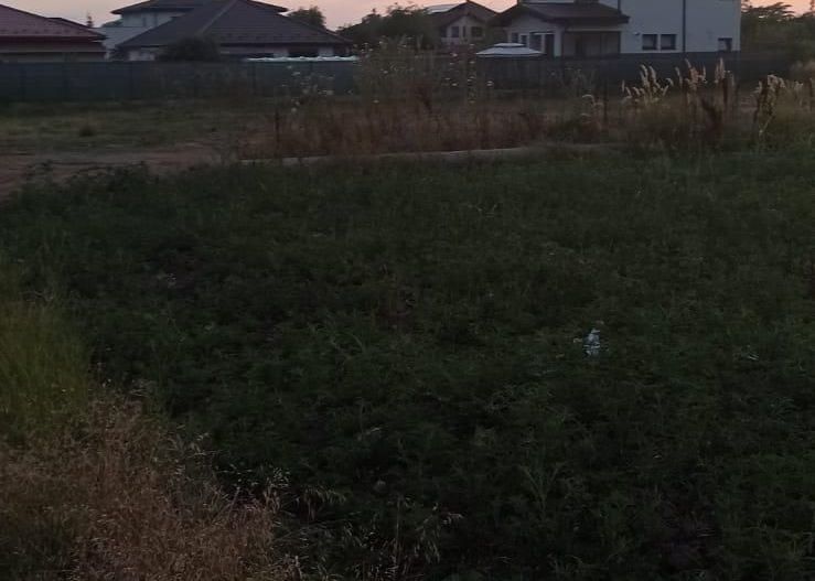 Teren Branesti - Strada Noua - Poză 9