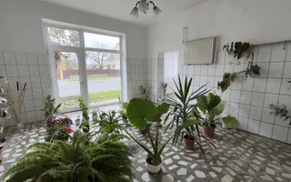 Casă 7 camere cu Teren 4.620 mp | Potențial pentru rezidență sau afacere | Carei - Poză 17