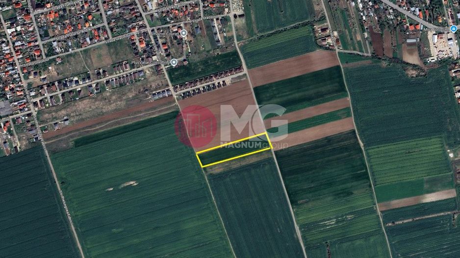 teren de vanzare Balotesti - spate Therme - Poză 3