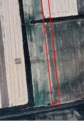 Teren intravilan in Osorhei - Poză 1